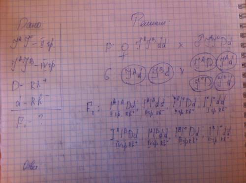 Мужчина резус положительный имеющий 2 группу крови гетерозиготный по двум анализируемым признакам вс