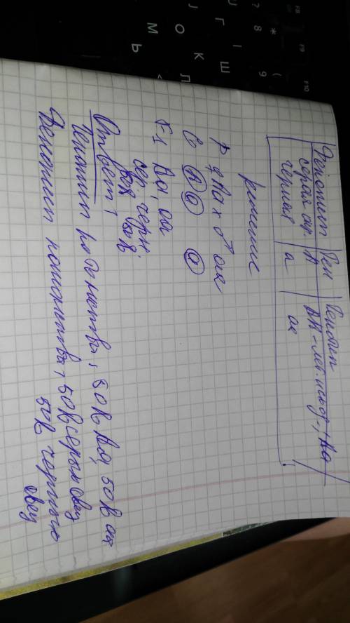 Укаракулевых овец ген, вызывающий развитие признака ширази — серого цвета шкурки, дорогого меха, дом