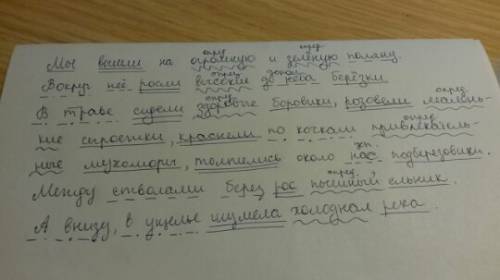 Спиши, распрострони предложения второстепенными членами. определи тип речи. мы вышли на поляну. вокр