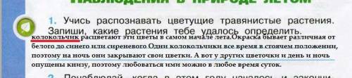 Учись распознавать цветущее травянистое растение запиши какие растения тебе удалось определить