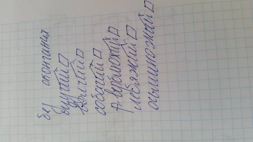 Вспомните какое окончание имеют притяжательные прилагательные мужского рода. найдите в прилагательны