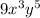 9x^3y^5