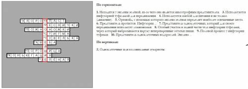 Кроссворд главное слово простейшие с вопросами