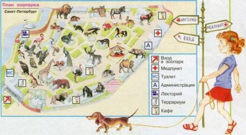 Рассмотрите в учебнике план зоопарка сориентируйтесь по сторонам горизонта и определите в каких част
