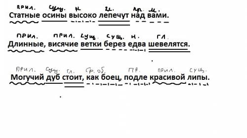 Синтаксический разбор предложения: бобры осины валят, сочные ветки на зиму запасают.