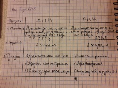 Сравнить днк и рнк на уровне молекул биологии