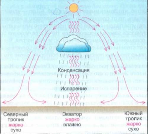 Почему близ экватора выпадает много осадков,а в тропических областях - мало?