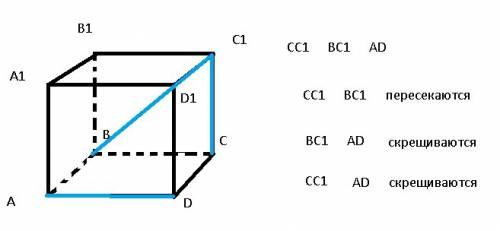 Вкубе авсда1в1с1д1. определить взаимное расположение прямых: сс1, вс1, ад
