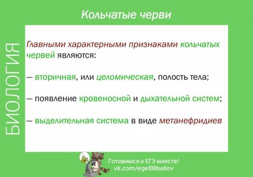 Используя дополнительную , подготовьте сообщение на тему( значение кольчатых червей в природе). сост