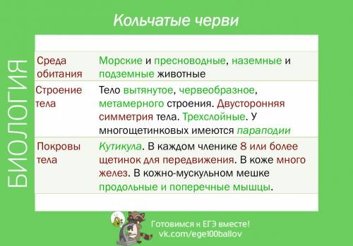 Используя дополнительную , подготовьте сообщение на тему( значение кольчатых червей в природе). сост