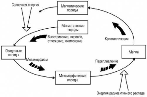 Скажите ! круговорот веществ в природе схема