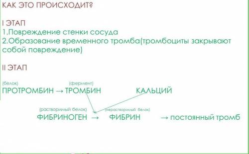 Что такое свертывание крови и каков его механизм