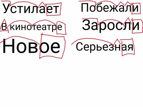 Устилает, побежали, в кинотеатре, заросли, новое, серьёзная морфемный разбор