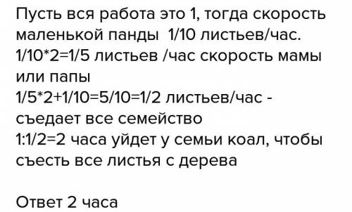 Маленький коала съедает листья с одного эвкалиптового дерева за 10 часов. его мама и папа едят вдвое