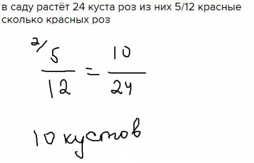 Всаду растёт 24 куста роз из них 5/12 красные сколько красных роз