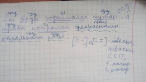 Синтаксический разбор предложения. от воды поднимался туман,а трава покрылась прекрасными капельками