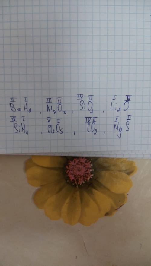 Определитель валеньнтность: beh2 al2o3 sio2 li2o. sih4 cl2o5 co2 mgs.