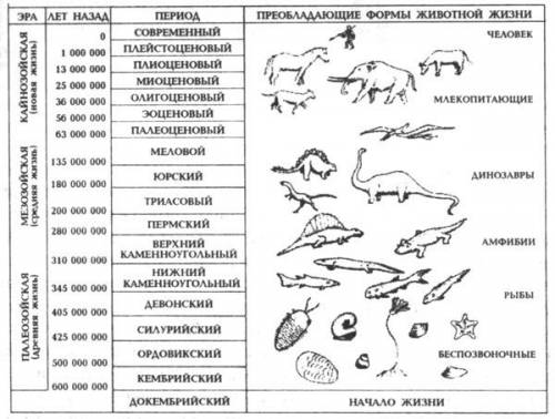 Таблица по биологии 9 класс,название периода,геология климата,растение,их строение