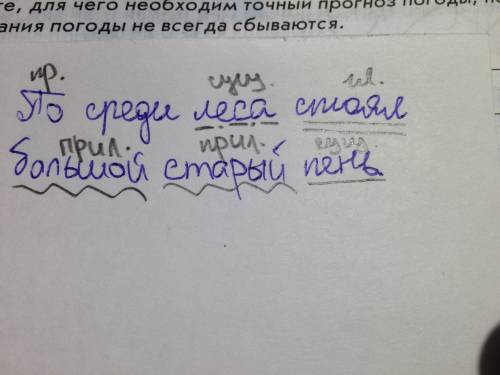 По среди леса стоял большой старый пень.сделать синтаксический разбор