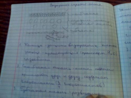 Таблица по биологии 6 класс клеточное строение листа назв ткани тип ткани строение значение