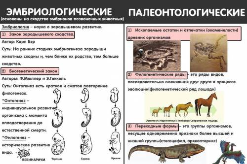 2. какие доказательства макроэволюции нам палеонтологические данные?