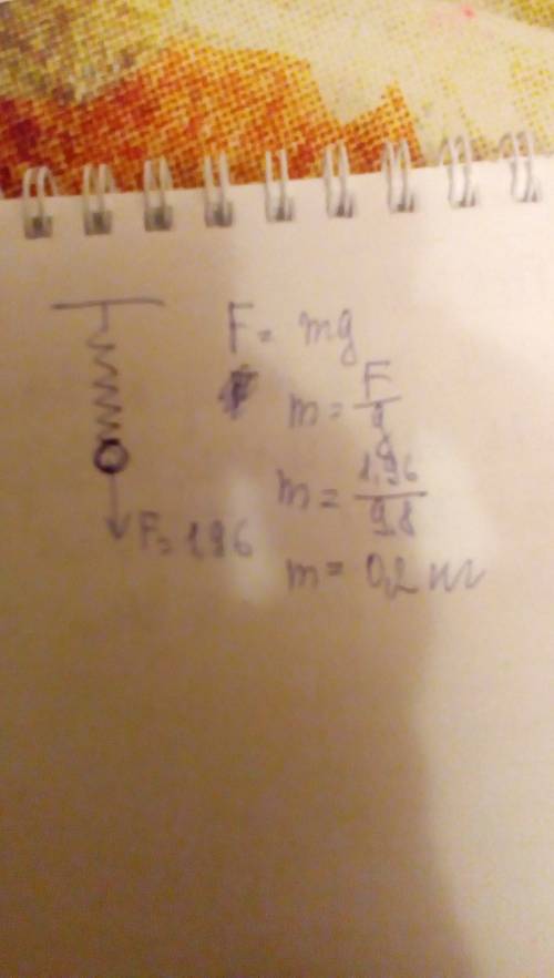 При подвешивании груза на крючок динанометра установили,что сила притяжения груза к земле равна 1,96