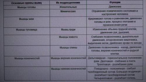 Таблица по биологии 8 класса на тему мышцы группы мышц функции