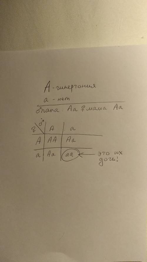 Решите графически, ! у человека гипертония доминантна по отношению к нормальному давлению. в семье о