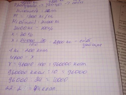 Влесу площадью 20 га образовалось 1200 кг/га биомассы растений, служащей кормом для травоядных живот