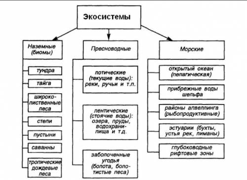 Анализ структуры биомов на суше и мировом океане