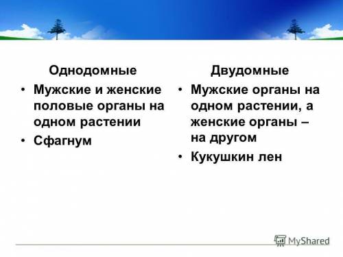 Написать что нибудь о однодонных и двудрнных растениях