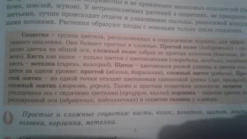 Сотавить таблицу по биологии 6 класс тема соцветия тип соцветия характиристики признаки растения име