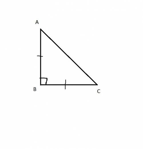 Начерти прямоугольный треугольник, у которого две стороны равны