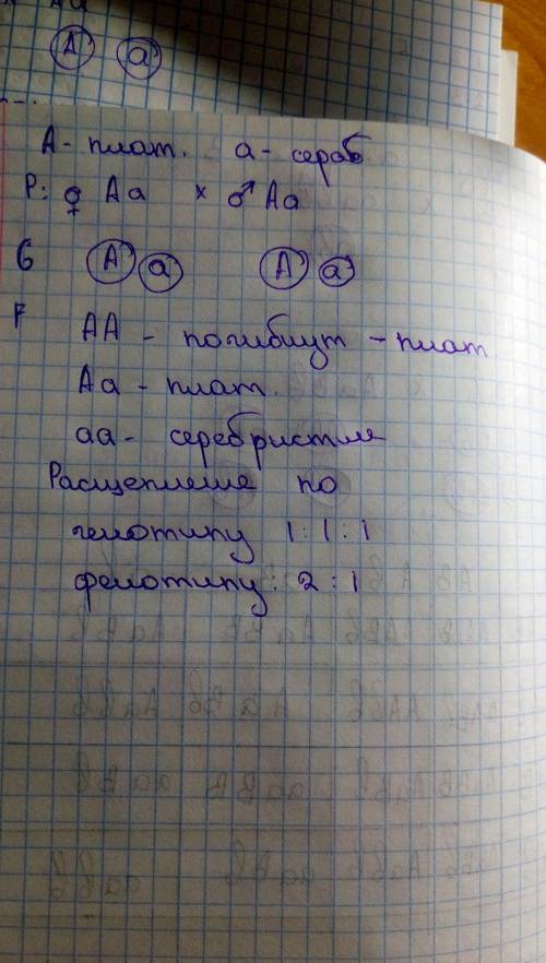 1. науке известны доминантный гены, которые никогда не удавалось получить в гомозиготах, так как гом