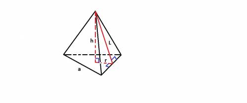 Какова наименьшая возможная длина апофемы правильной треугольной пирамиды,имеющий объем 1 см^3 ?