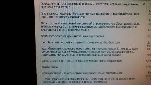 Составить небольшое описание шотландской вислоухой кошки на языке. 5 класс