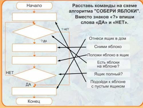 Расставь команды на схеме алгоритма собери яблоки вместо знаков ? впиши слова да и нет