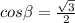 cos \beta = \frac{ \sqrt{3} }{2}