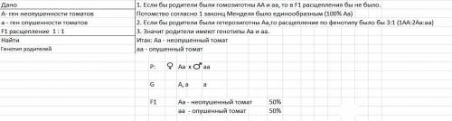 Ген неопушеності стебла рослини томатів домінує над геном опушеності.які фенотипи батьківських форм,