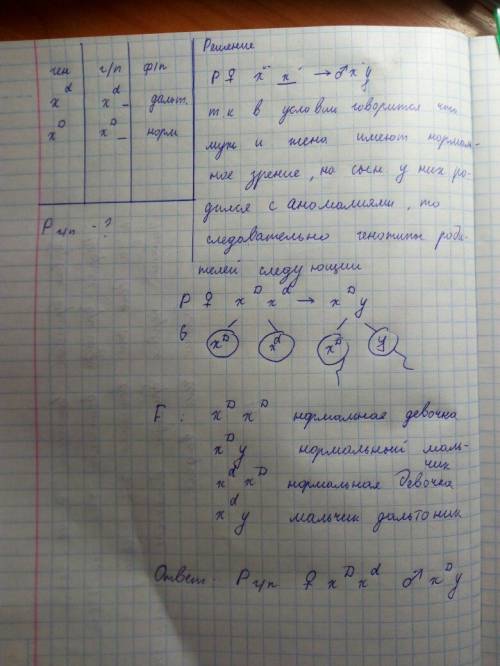 Ген дальтонизма (цветовой слепоты) рецессивный признак сцепленный с х хромосомой. муж и жена имеют н