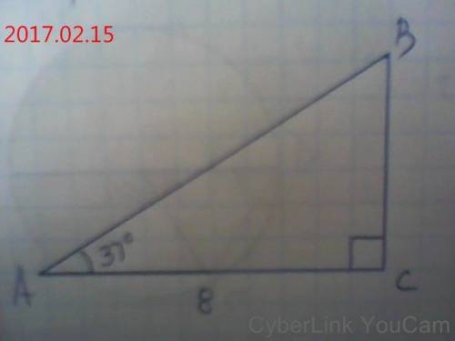 Втреугольнике abc угол c=90 .найдите ab ,если угол a=37 ac=8