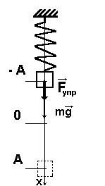 Изобразите на чертеже силы, которые действуют на груз, подвешенный к концу спиральной пружины