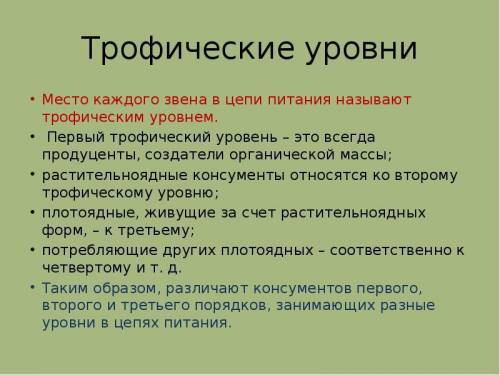 На каком трофическом уровне находится божья коровка? на первом. на втором. на третьем. на четвёртом.