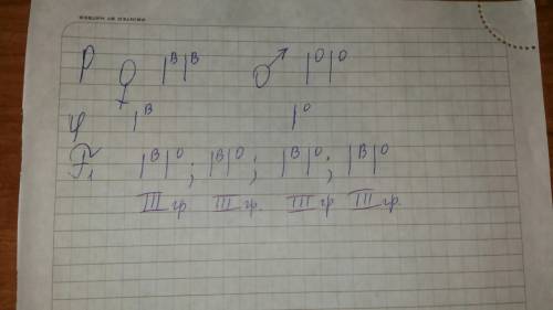 Женщина с 3 группой крови подала на алименты на мужчину с 1 группой крови утверждая что он отец ребе