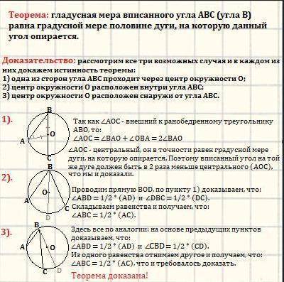 Докажите что градусная мера вписанного угла равна половине градусной меры дуги на которую он опирает