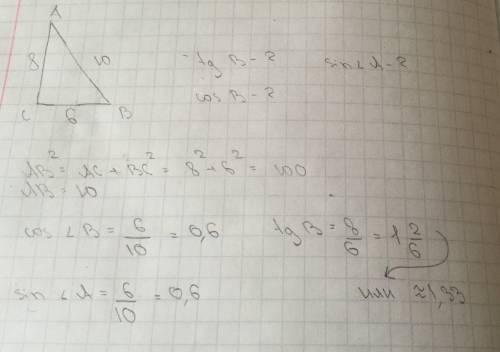 Дано треугольник abc угол c= 90 ac 8см bc 6см найти tg b, sin a, cos b