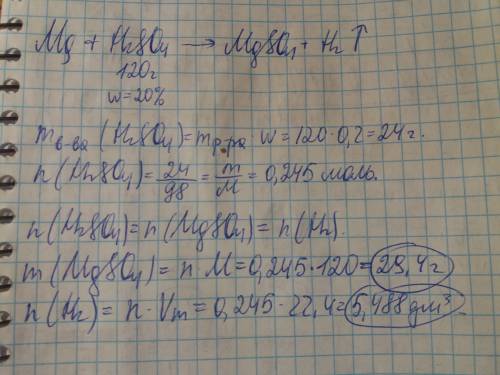 Смагнием прореагировало 120г раствора серной кислоты с массовой долей 20%. вычислить массу образовав