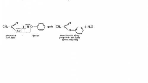 Может ли фенол вступать в реакцию этерификации с карбоновыми кислотами? напишите уравнение реакции.