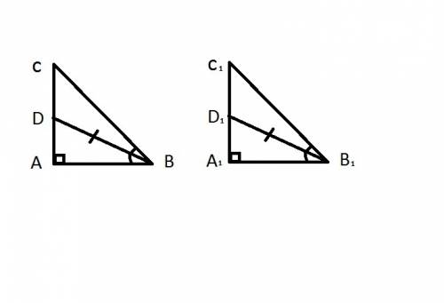 Втреугольнике abc и a1b1c1 углы a и a1 прямые bd и b1d1 биссектрисы . докажите , что треугольник абс