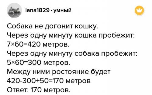 Собака заметила кошку,когда расстояние между ними было 50 м.они побежали одновременно. кошка со скор